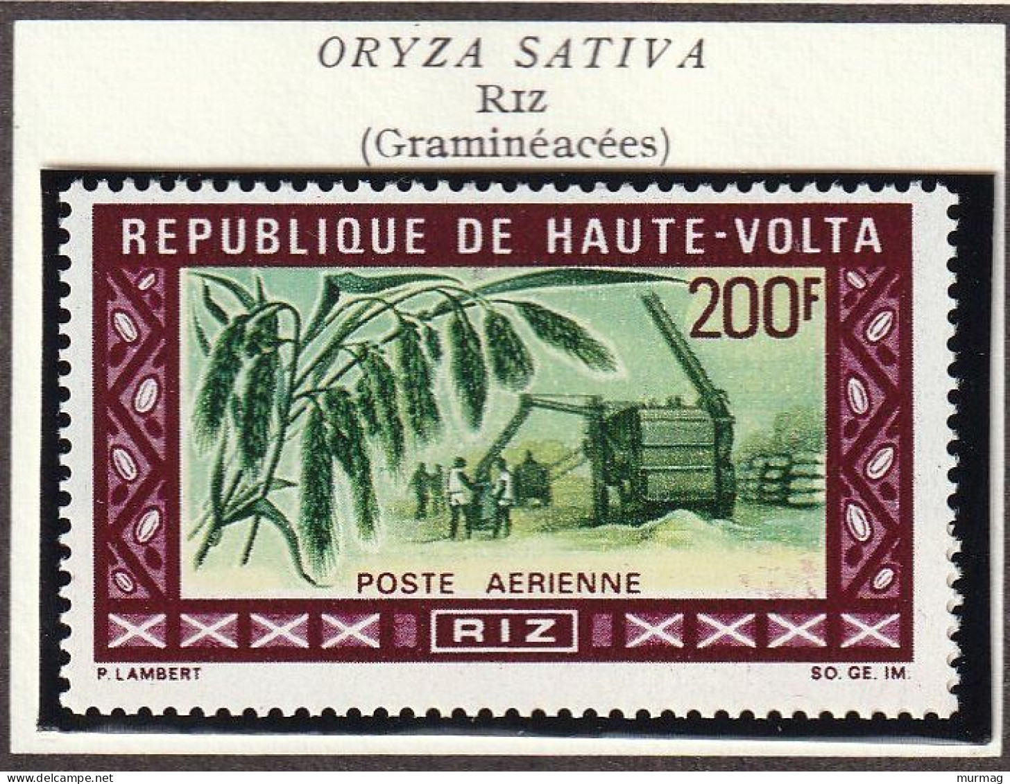 HAUTE-VOLTA - Plantes Agricoles, Arachide, Riz - Y&T N° 204-205 + PA 73-74 - 1969 - MNH - Obervolta (1958-1984)