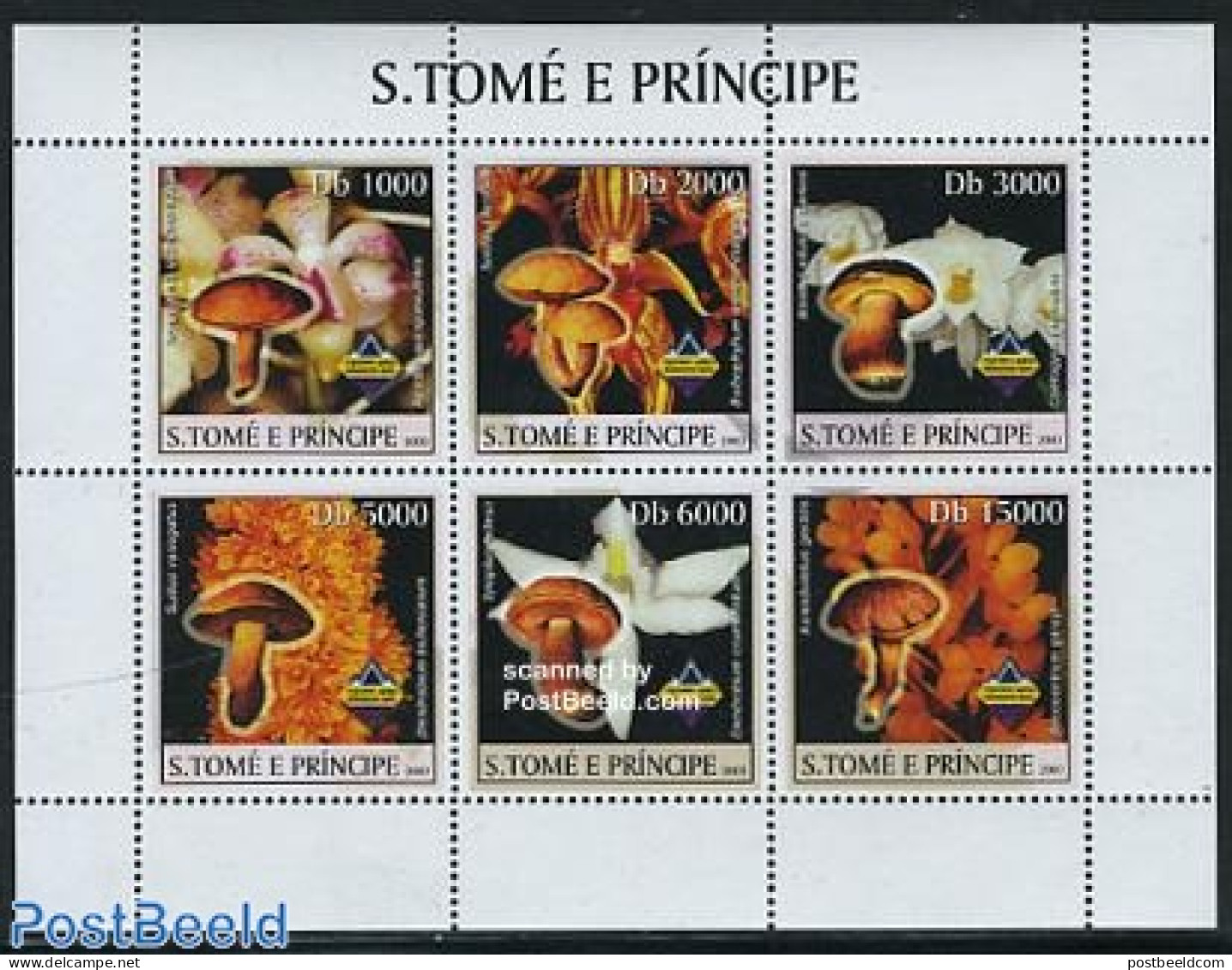 Sao Tome/Principe 2003 Mushrooms 6v M/s, Mint NH, Nature - Mushrooms - Champignons