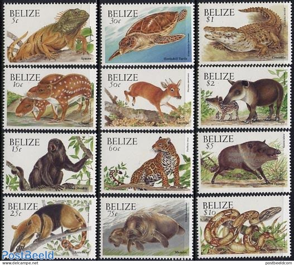 Belize/British Honduras 2000 Animals 12v, Mint NH, Nature - Animals (others & Mixed) - Cat Family - Crocodiles - Monke.. - Honduras Británica (...-1970)