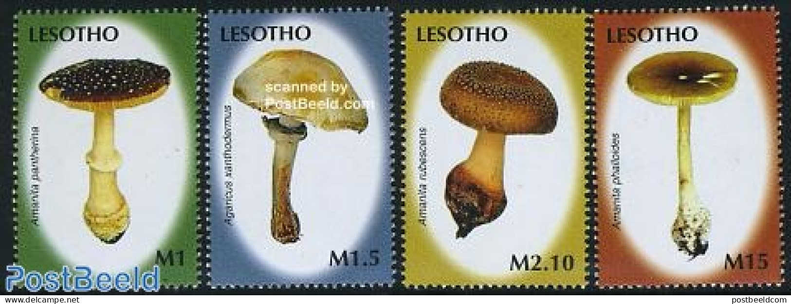 Lesotho 2007 Mushrooms 4v, Mint NH, Nature - Mushrooms - Champignons