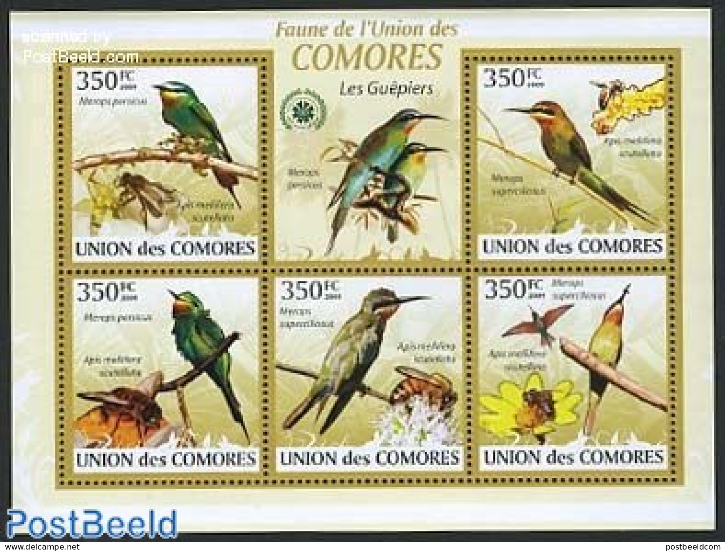 Comoros 2009 Guepiers 5v M/s, Mint NH, Nature - Birds - Comores (1975-...)
