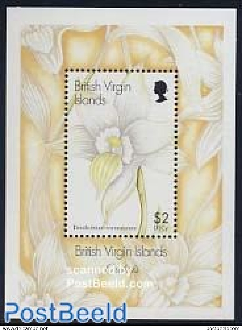 Virgin Islands 1997 Orchids S/s, Mint NH, Nature - Flowers & Plants - Orchids - British Virgin Islands