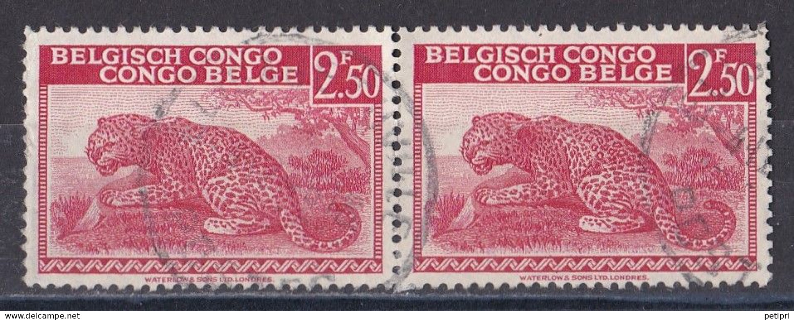 Congo Belge N° 241 Paire Oblitérée - Gebraucht