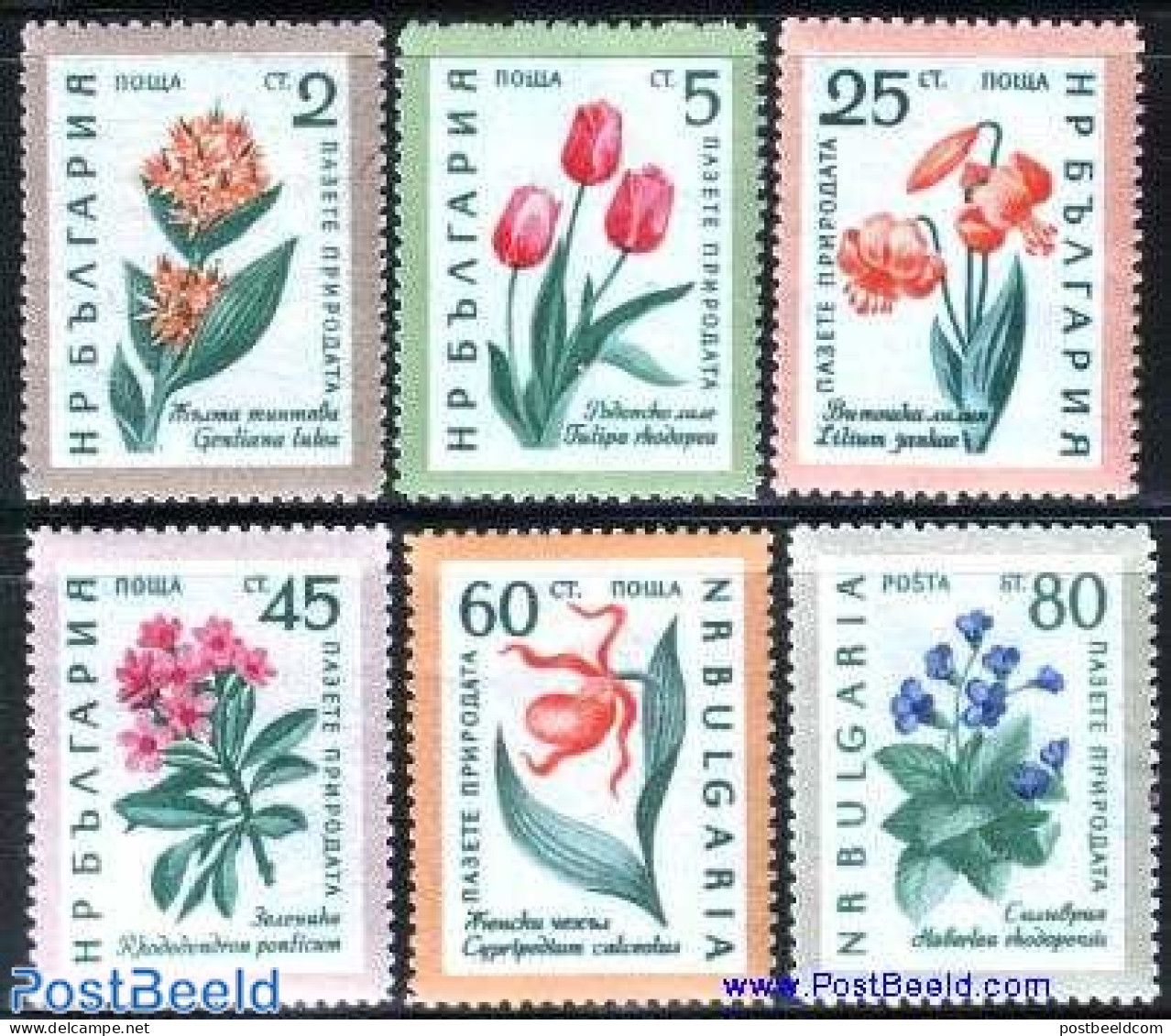 Bulgaria 1960 Flowers 6v, Mint NH, Nature - Flowers & Plants - Neufs