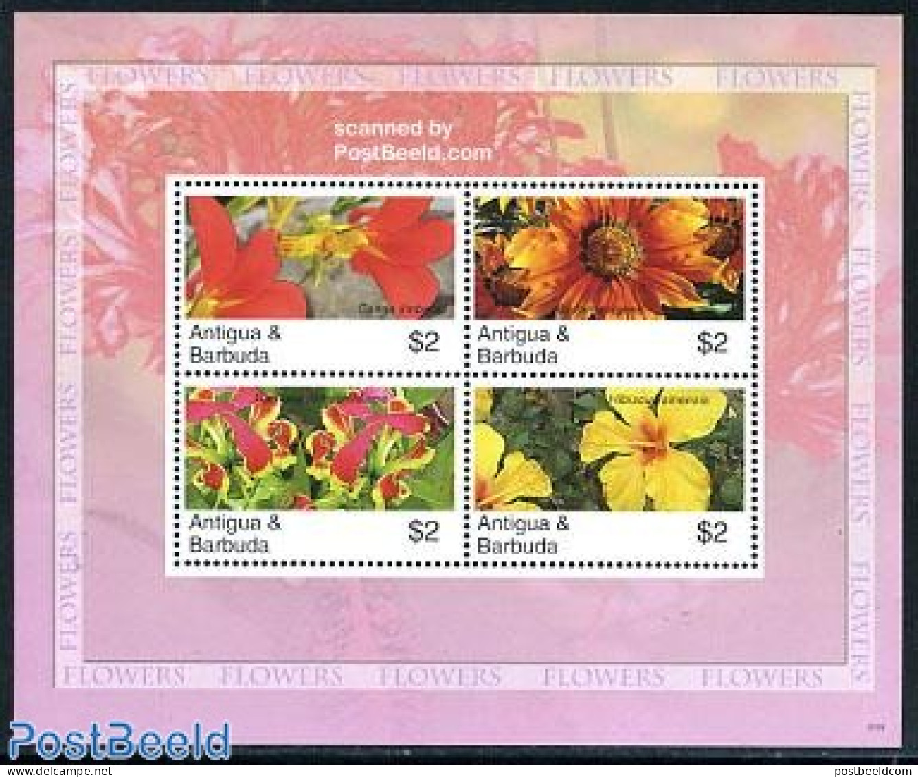 Antigua & Barbuda 2007 Flowers 4v M/s, Mint NH, Nature - Flowers & Plants - Antigua And Barbuda (1981-...)