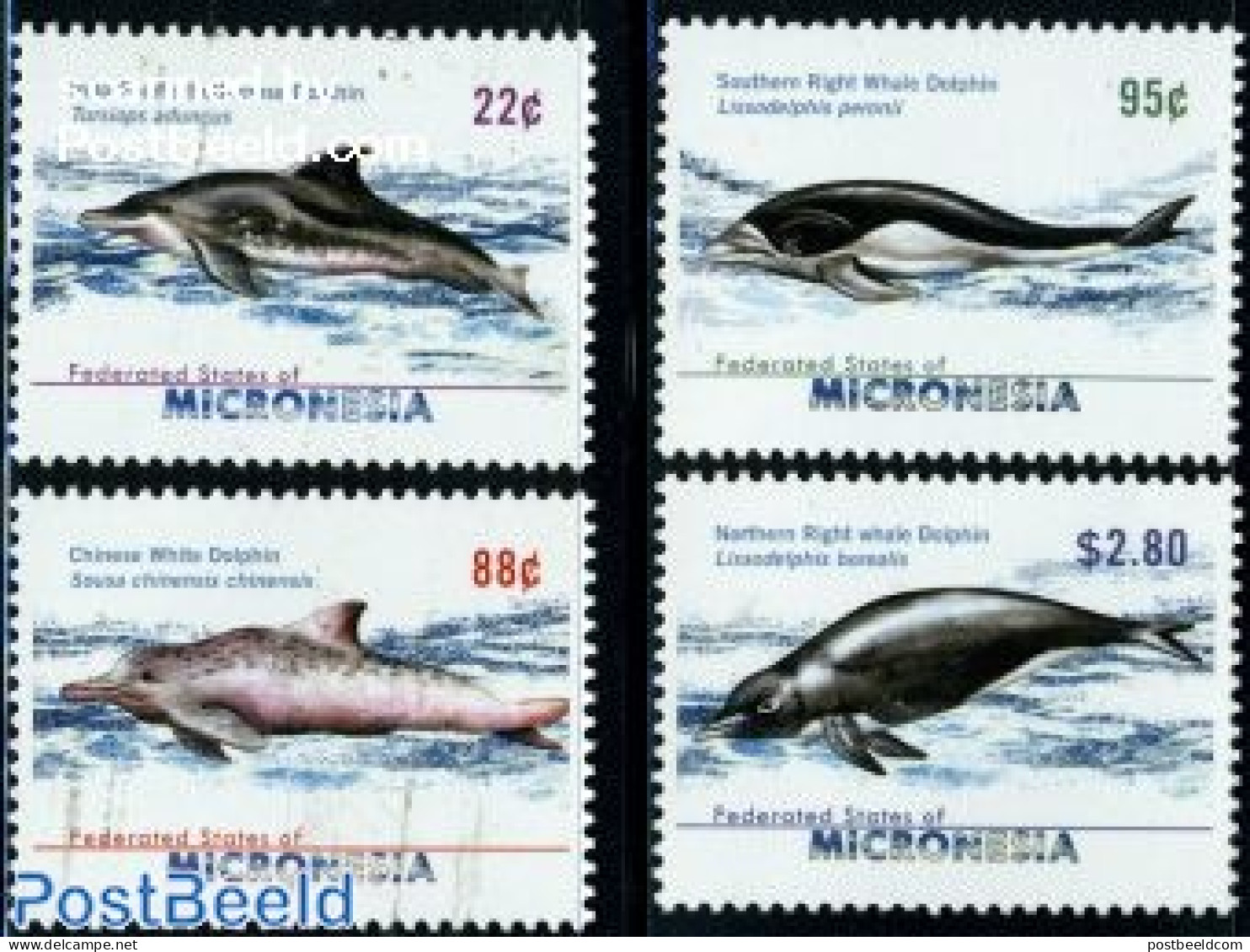 Micronesia 2009 Dolphins 4v, Mint NH, Nature - Sea Mammals - Micronesia