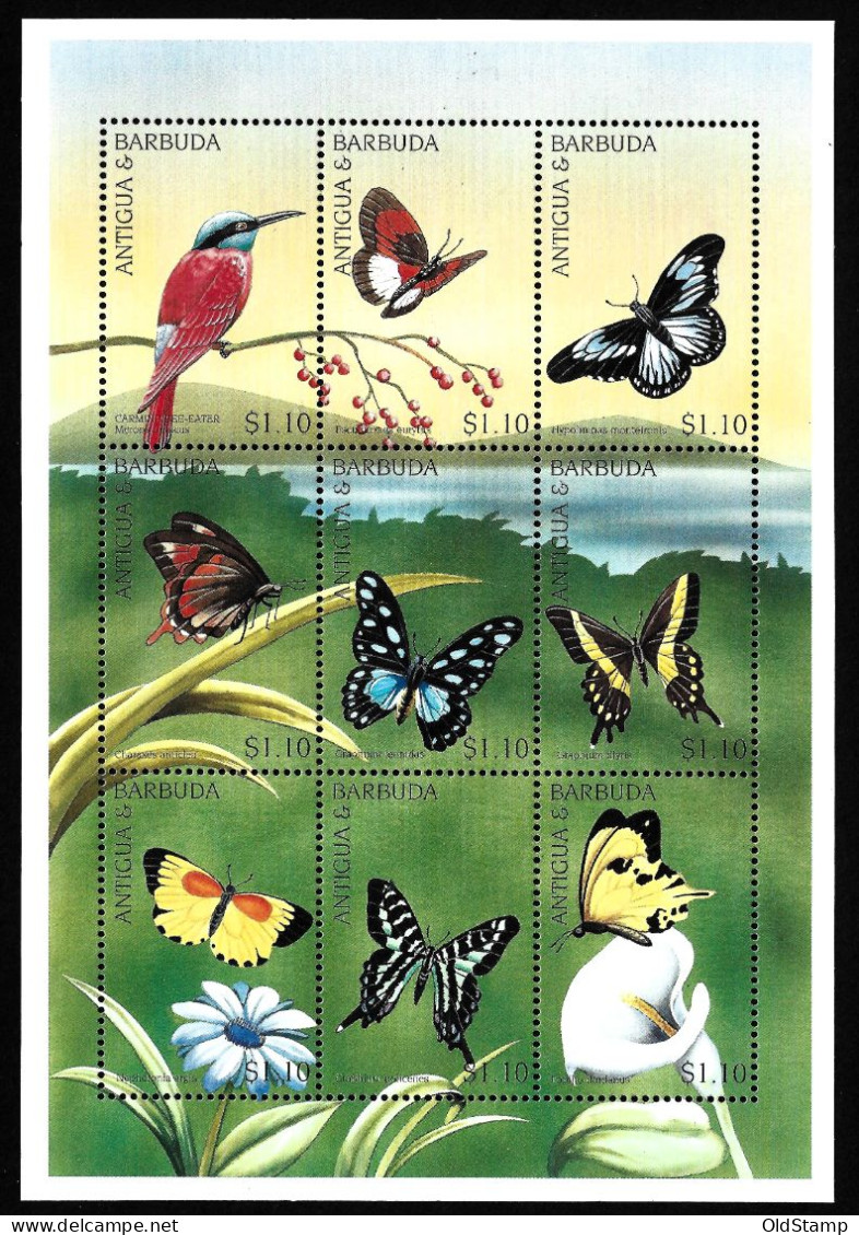 BIRDS Antigua & Barbuda 1999 Butterflys Birds MNH Wild Life Flora Fauna Plants MNH Stamps Block Luxe - Pájaros Cantores (Passeri)