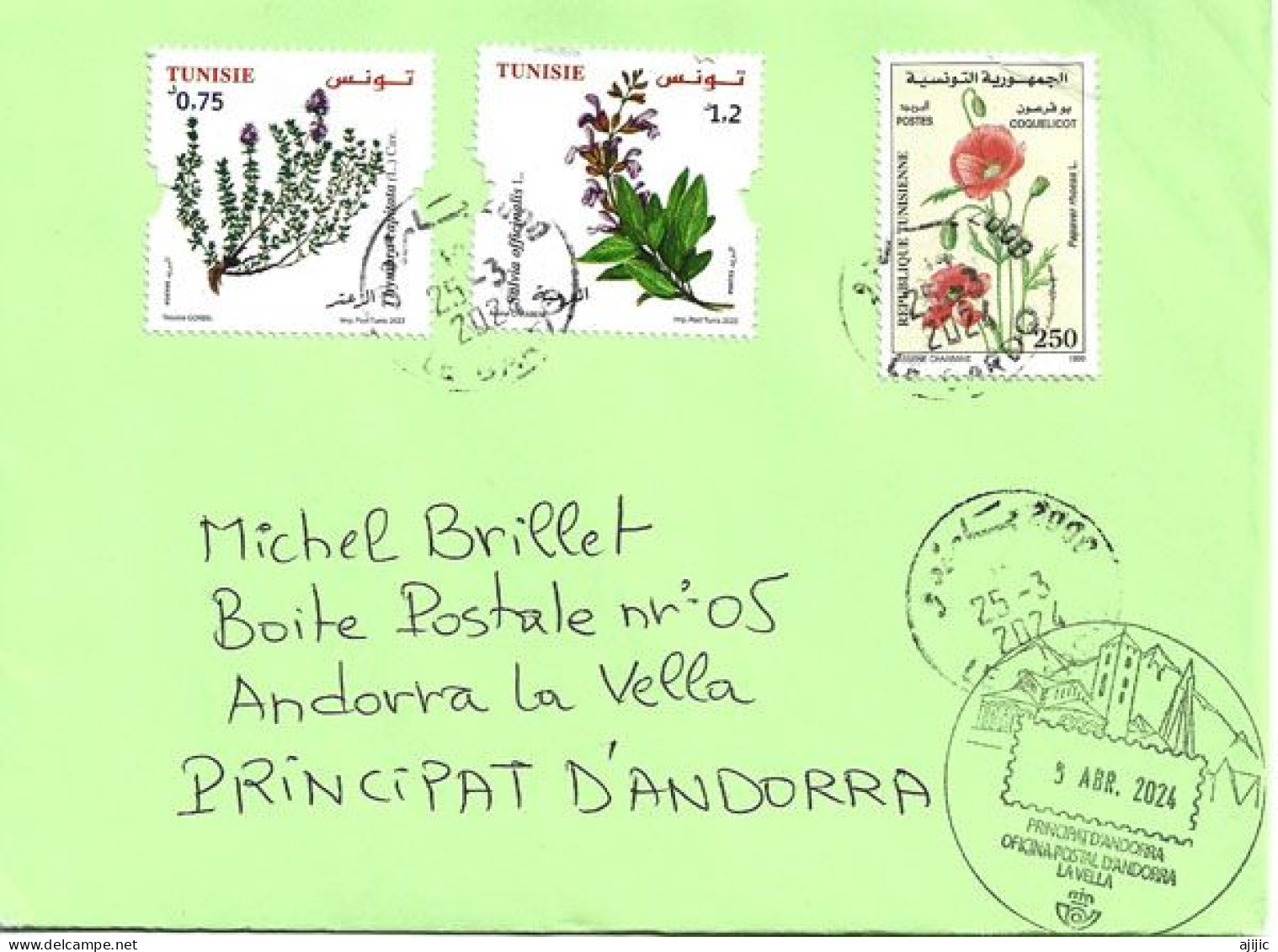 Letter Tunisia 2024,  Sent To Andorra, With Arrival Andorran Postmark - Tunesien (1956-...)