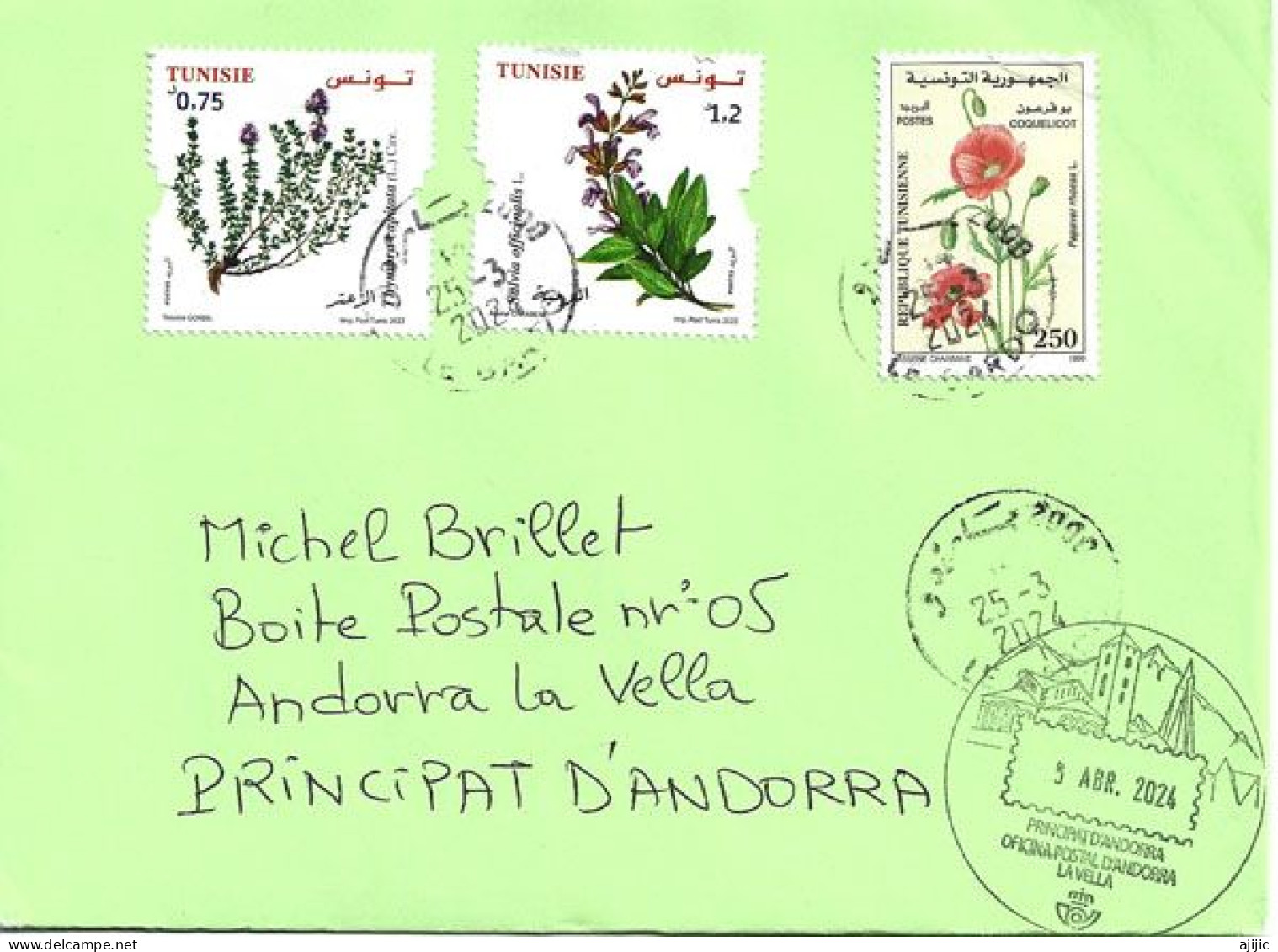 Letter Tunisia 2024,  Sent To Andorra, With Arrival Andorran Postmark - Tunisia (1956-...)