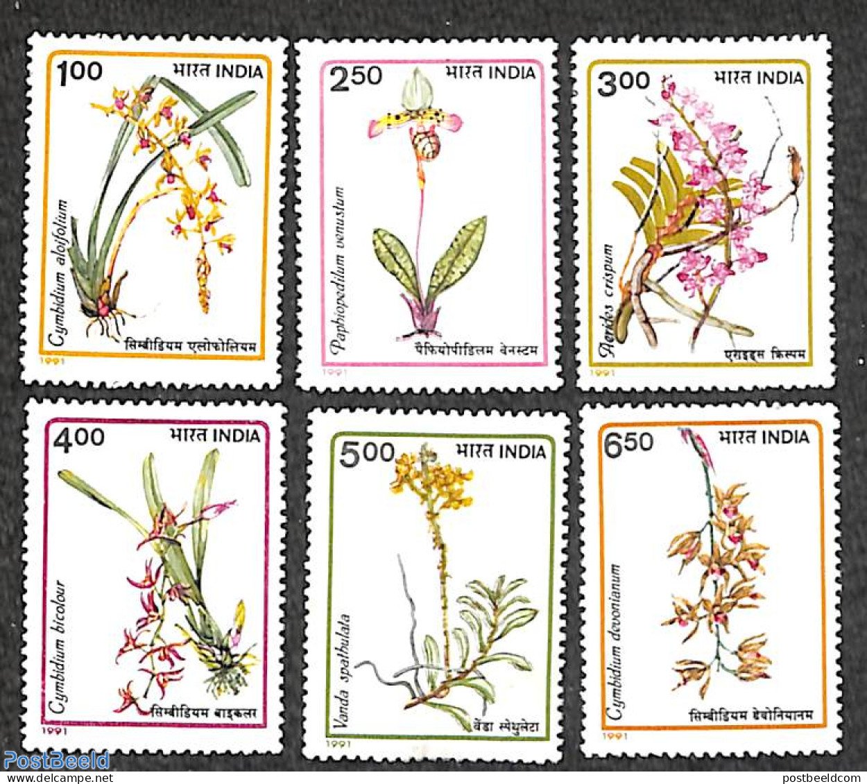 India 1991 Orchids 6v, Mint NH, Nature - Flowers & Plants - Orchids - Neufs