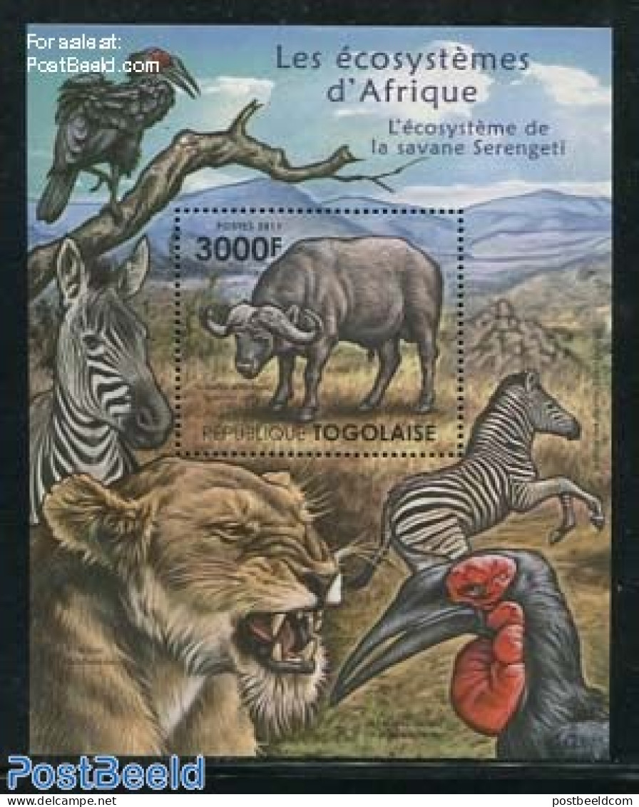 Togo 2011 African Eco Systems, Serengeti S/s, Mint NH, Nature - Animals (others & Mixed) - Zebra - Togo (1960-...)
