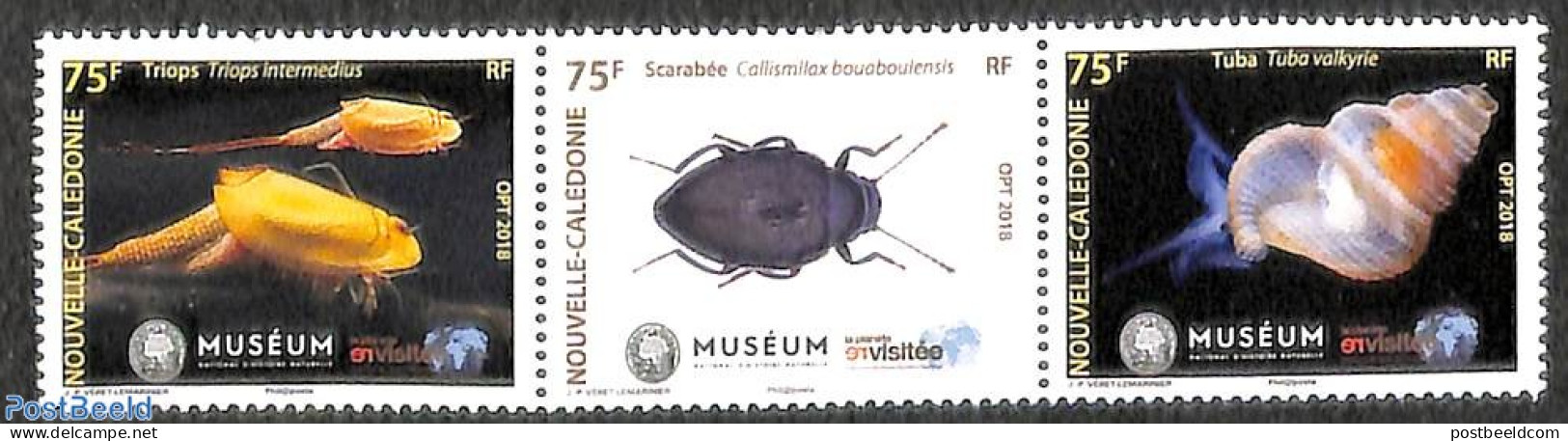 New Caledonia 2018 Museum Revisitee 3v [::], Mint NH, Nature - Insects - Shells & Crustaceans - Art - Museums - Neufs