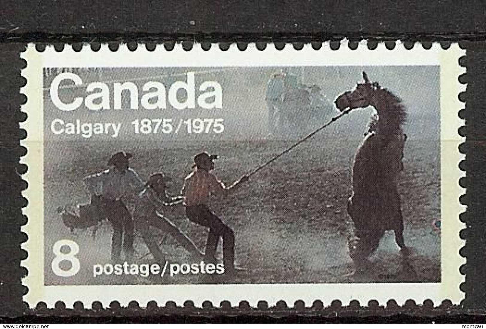 Canada 1975. Calgary . Sc=667 (**) - Unused Stamps