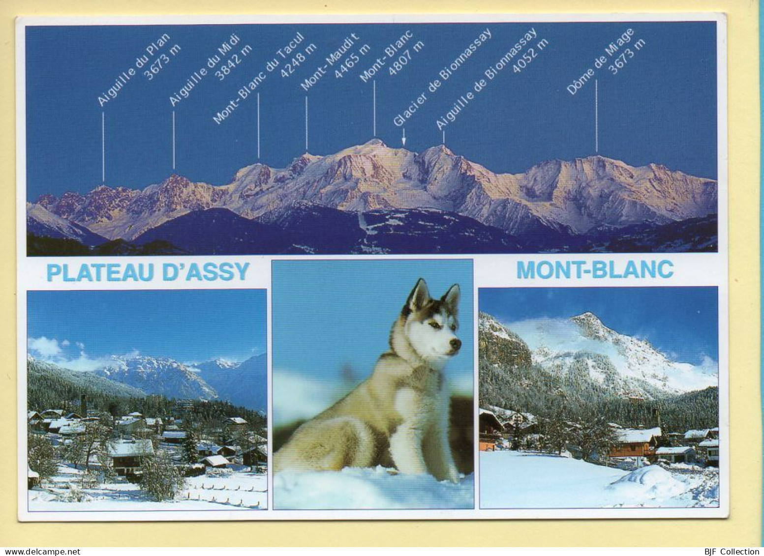 74. PLATEAU D'ASSY – Multivues / Chien Husky (voir Scan Recto/verso) - Passy