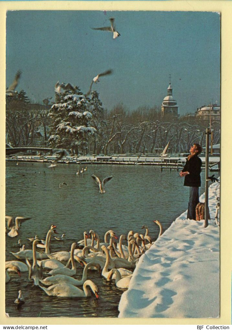 74. ANNECY Sous La Neige – Promenade Du Pâquier / Pont Des Amours / Jeu De L'enfant / Cygnes (animée) - Annecy-le-Vieux