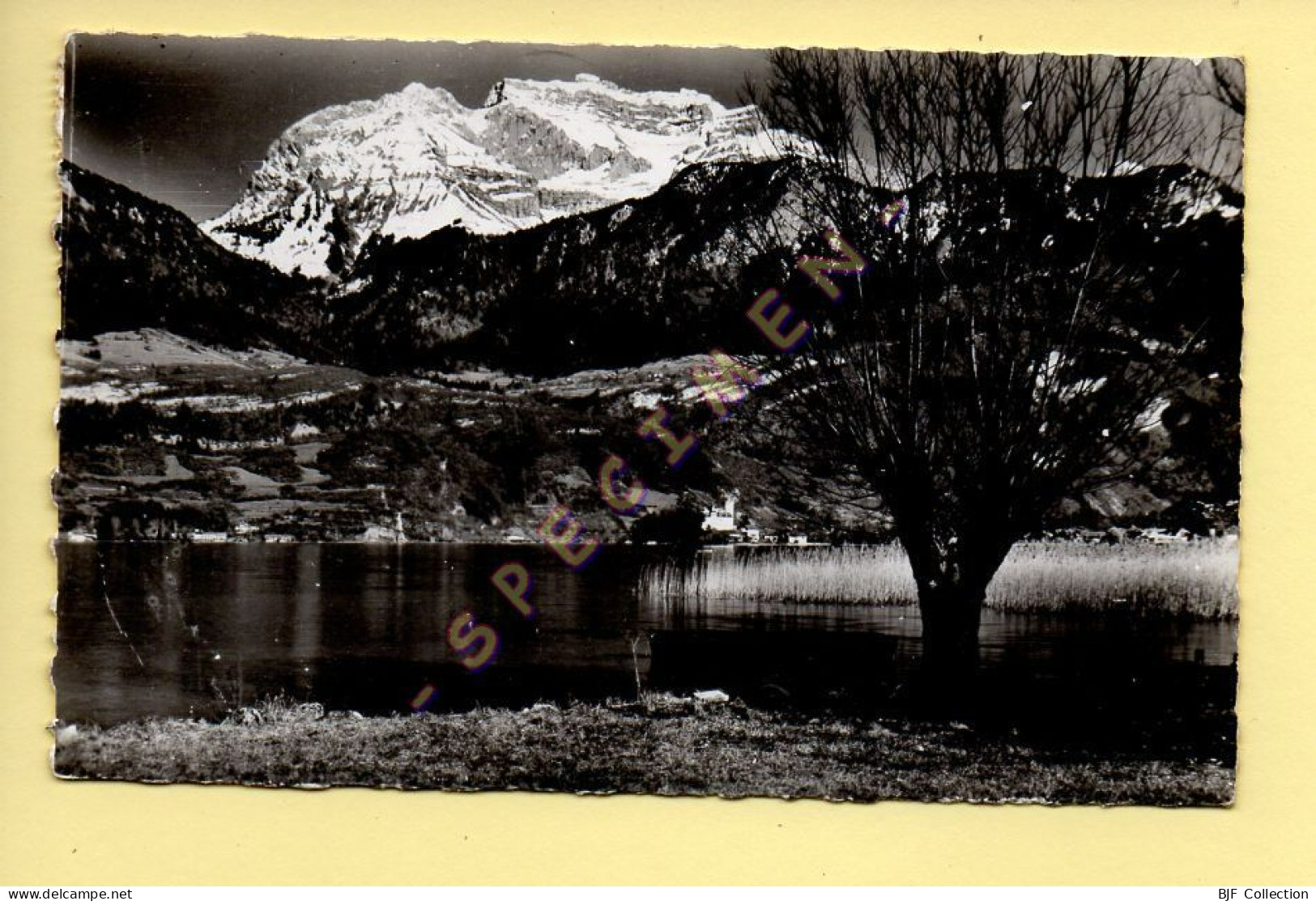 74. LAC D'ANNECY – La Tournette Et Le Château De Duingt Au Loin / CPSM (voir Scan Recto/verso) - Duingt