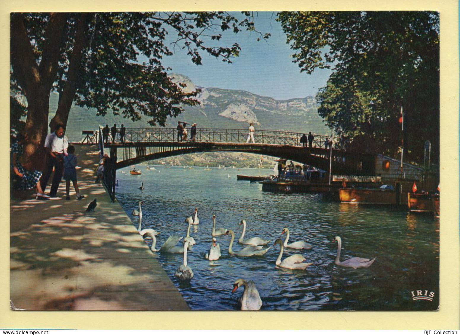 74. ANNECY – Pont Des Amours Et Le Mont Veyrier / Cygnes (animée) - Annecy-le-Vieux