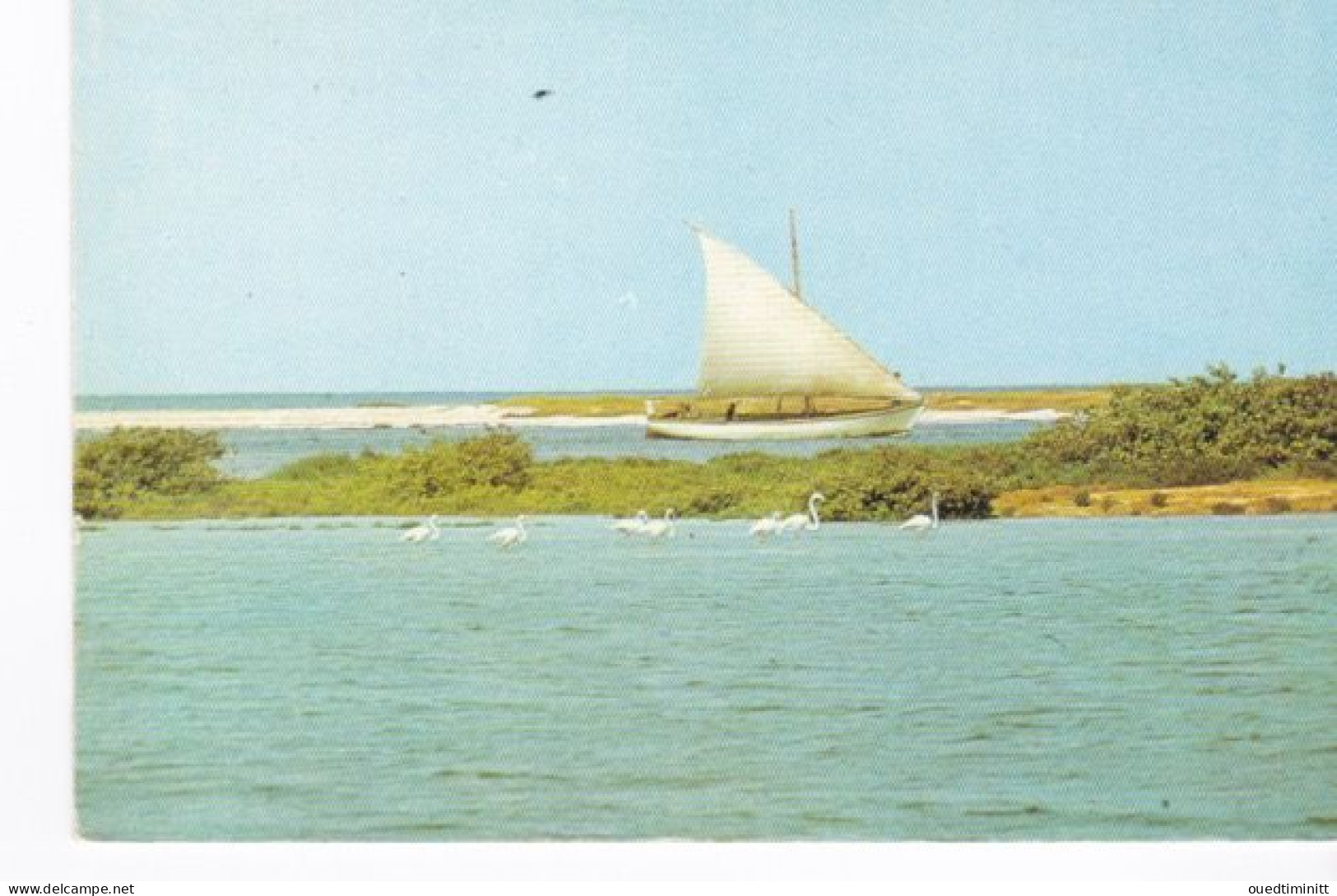 Mauritanie, Baie De Tanid, Pêche En Surf Casting, Lanche. - Mauritanië