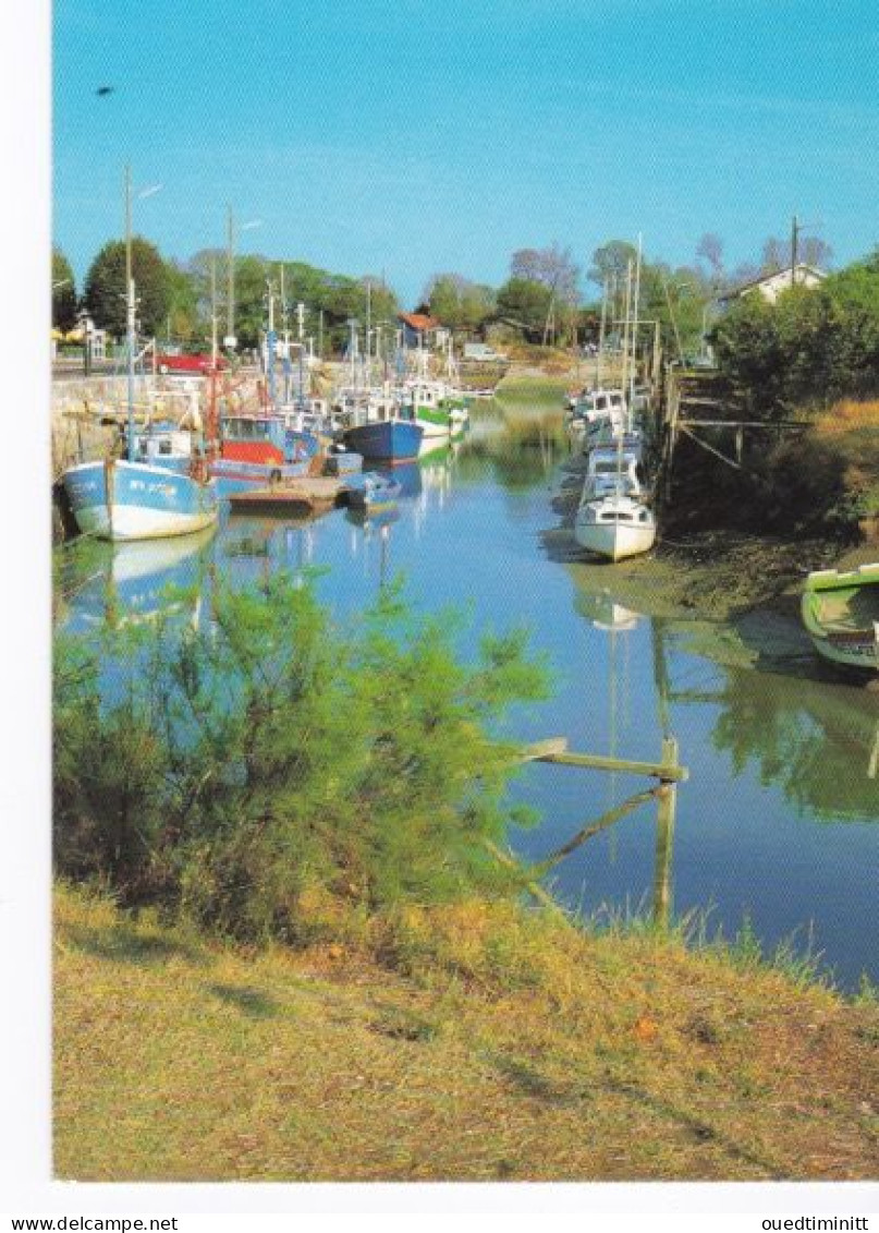 CPSM Chalutiers Dans Le Port De La Tremblade. - Fishing Boats