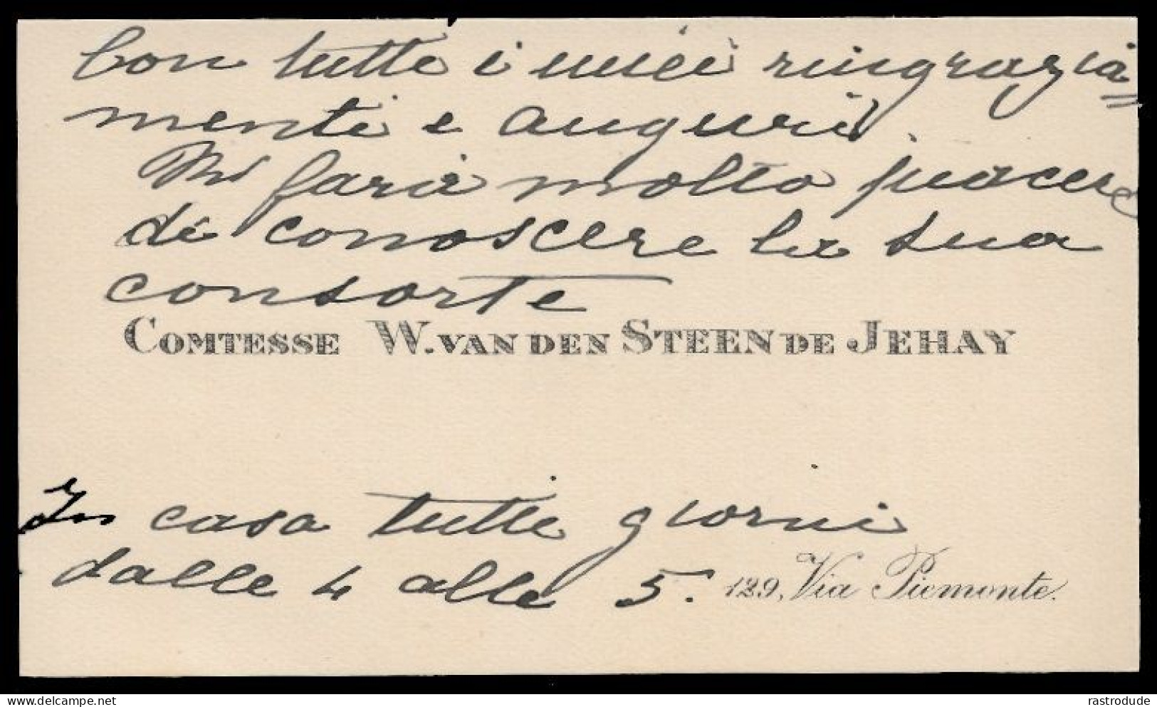 CARTE DE VISITE - LA COMTESSE VAN DEN STEEN DE JEHAY (1870-1941) ÉCRIVAIN, INFIRMIÈRE SUR LE FRONT BELGE DURANT WW I - Cartes De Visite