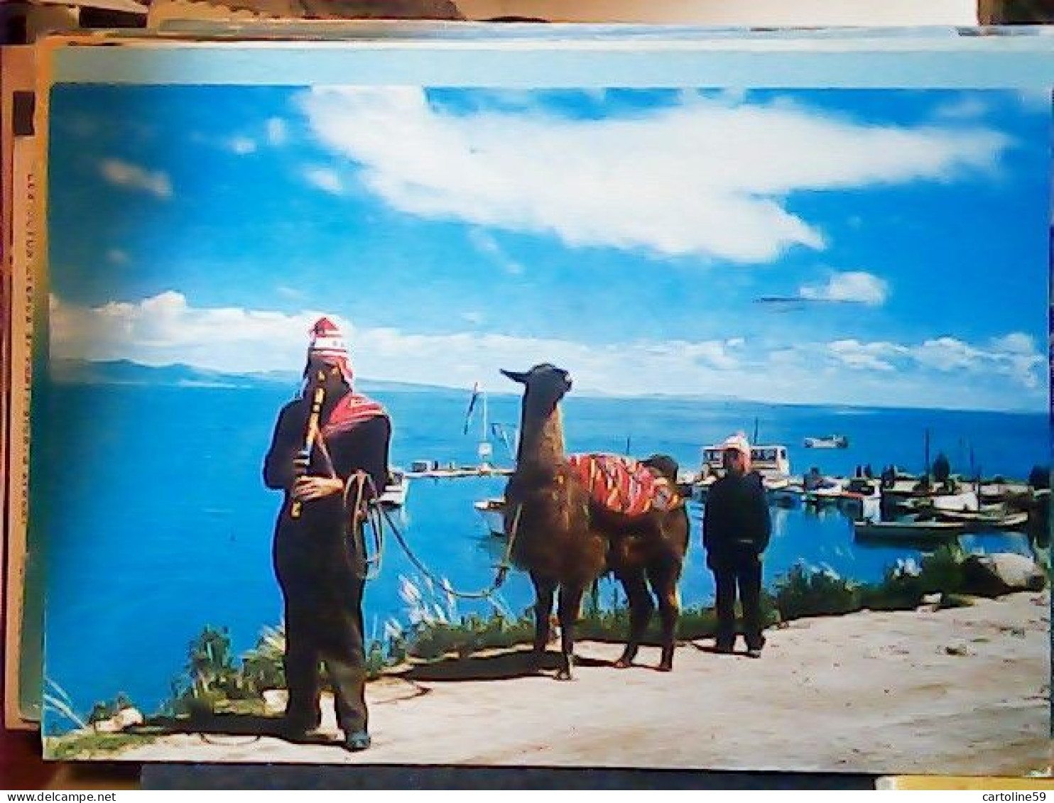 Lama - Lamas - Lago Titicaca - La Paz - Bolivia S1980 JV6015 - Bolivië