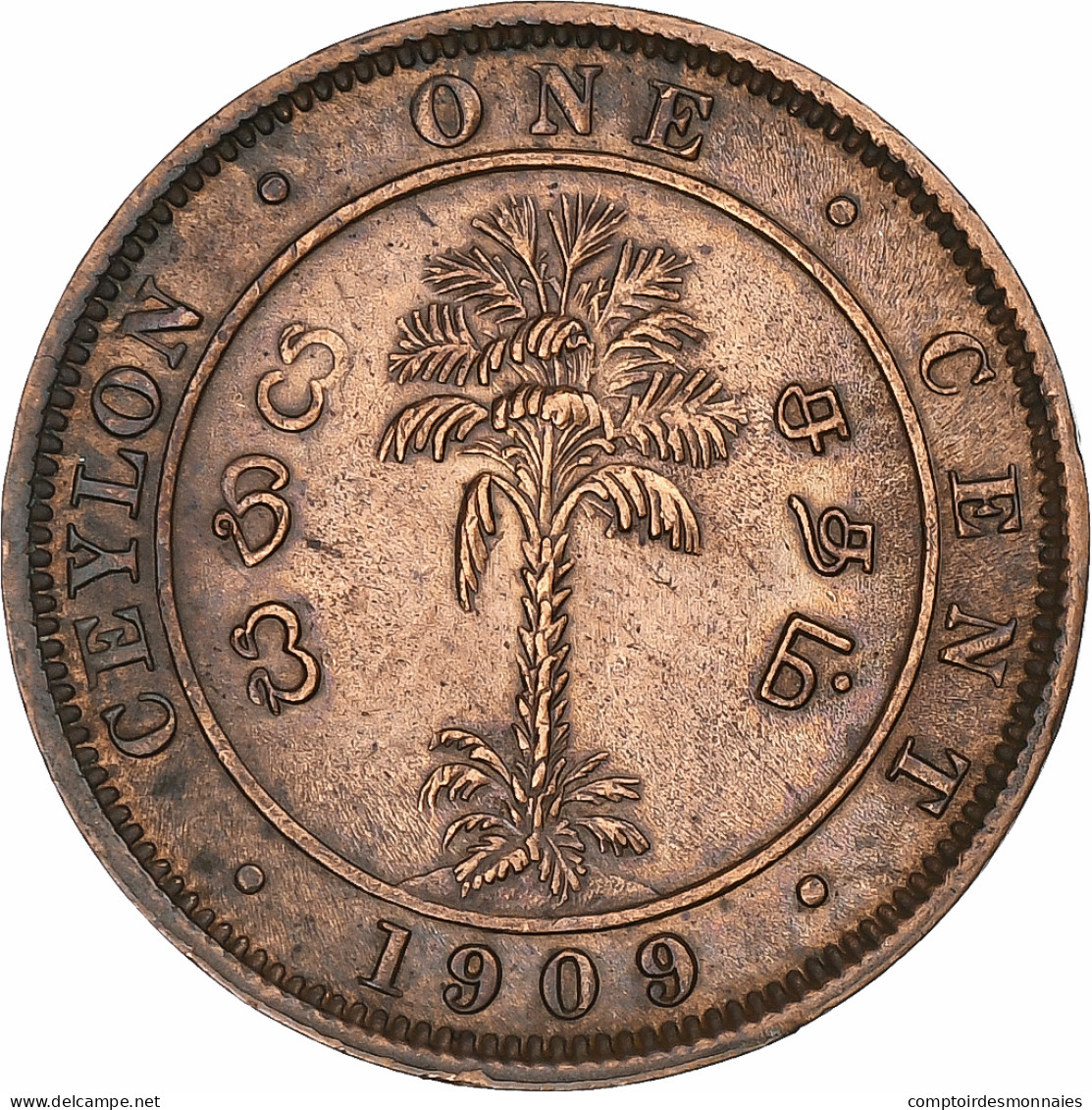 Sri Lanka , Edward VII, Cent, 1909, Calcutta, Cuivre, TTB+ - Kolonien