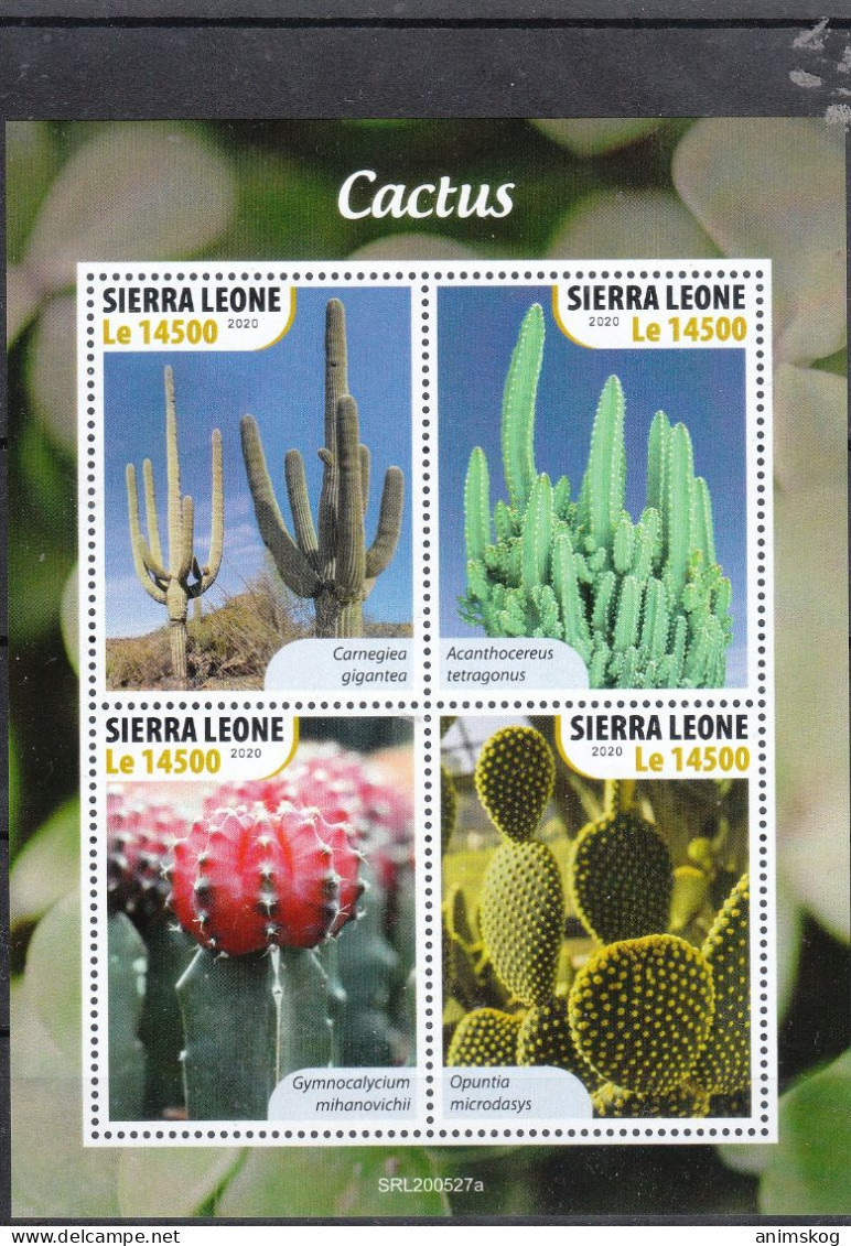 Sierra Leone 2020**,  Verschiedene Themen: U.a. Kakteen / Sierra Leone 2020, MNH, Various Topics: Including Cacti - Cactus