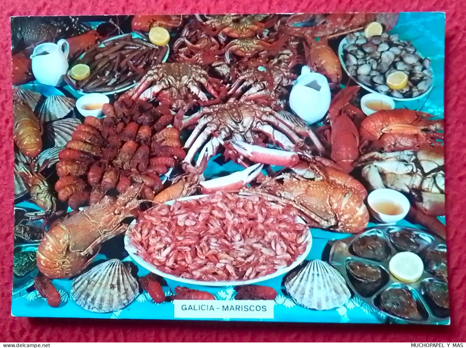 SPAIN POSTAL POST CARD CARTE POSTALE GALICIA MARISCOS SEAFOOD FRUITS DE MER GAMBAS CREVETTES COQUILLAGES SHELLS-FISH.... - Sonstige & Ohne Zuordnung