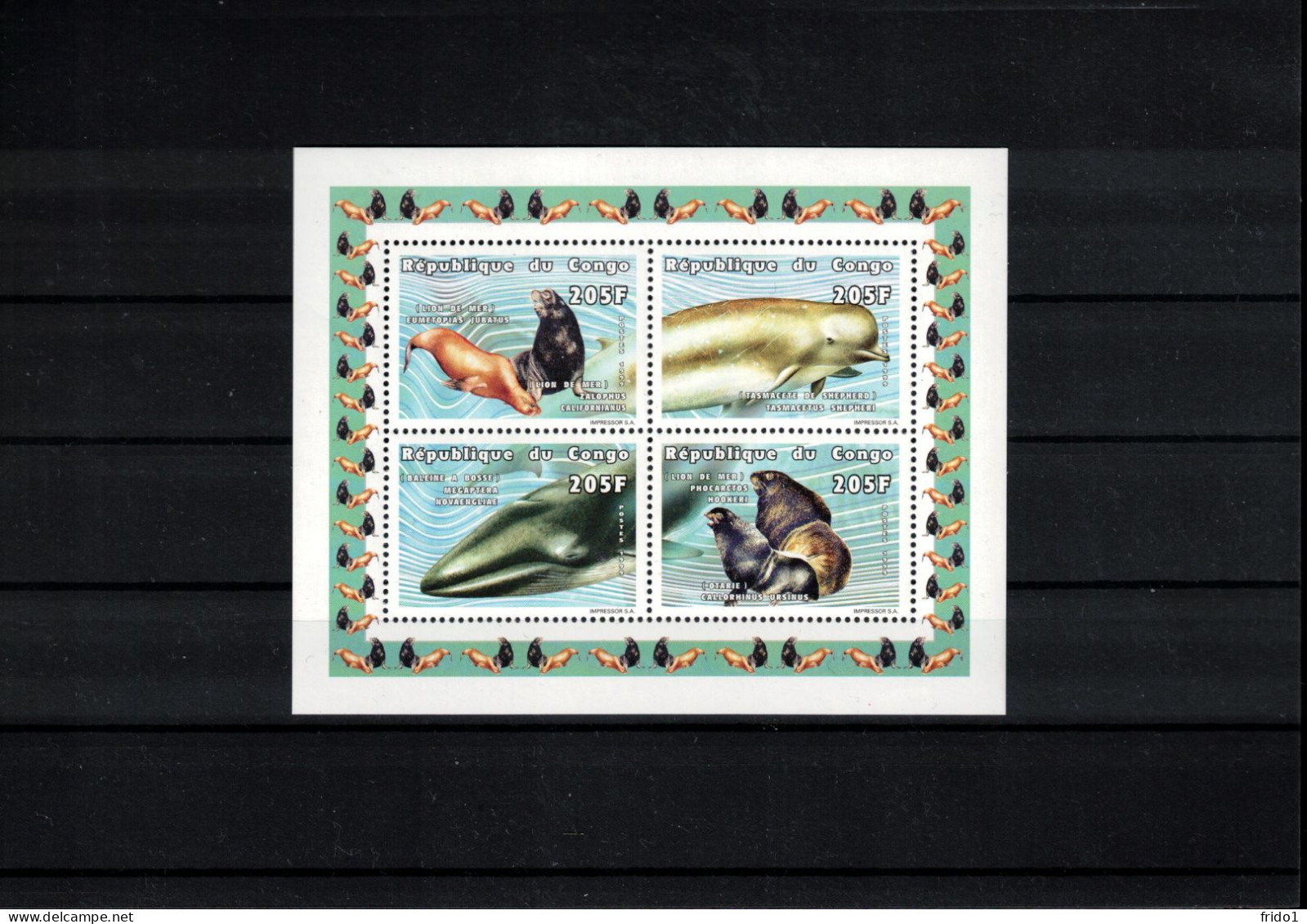 Congo 1999 Marine Life - Sea Animals - Whales Block Postfrisch / MNH - Balene