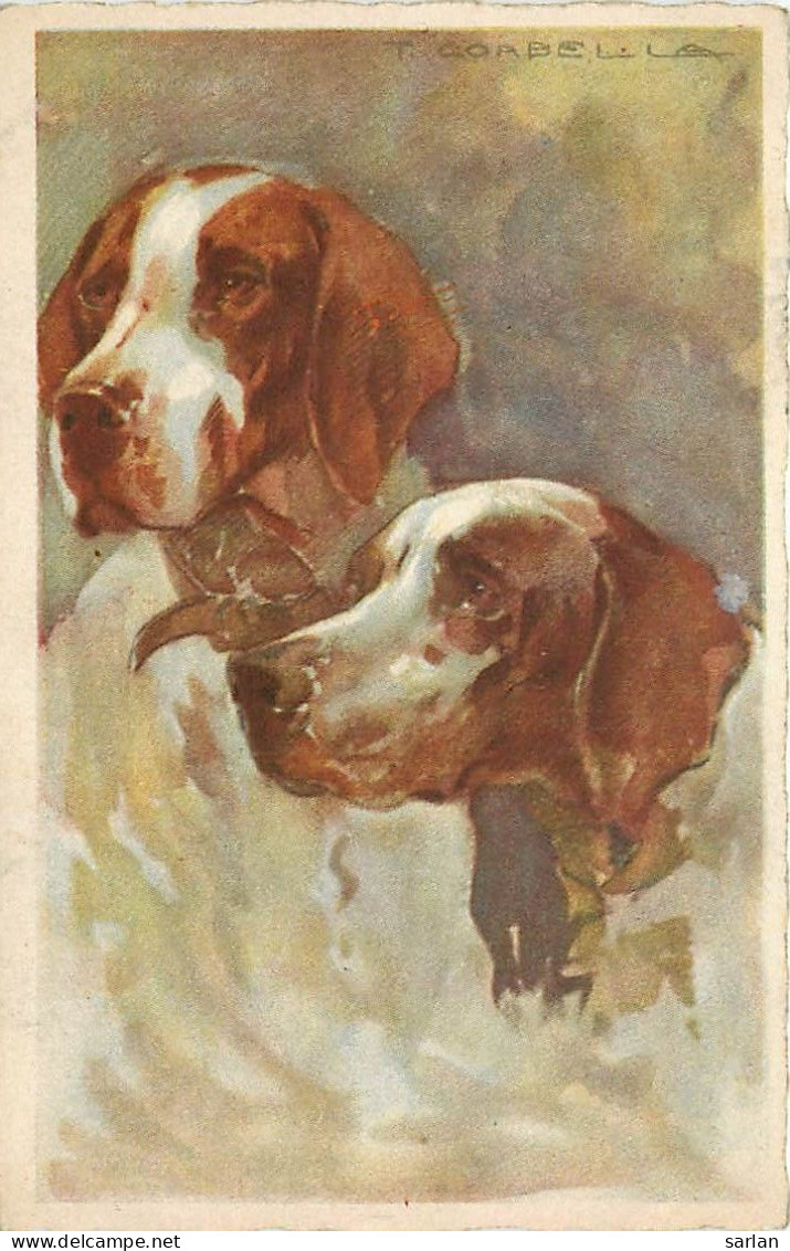 ANIMAUX , Chien , Illustration De Corbella , * 502 35 - Corbella, T.