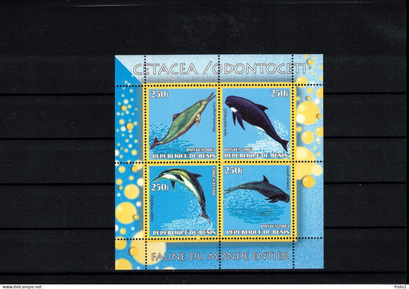 Benin 2003 Marine Life - Sea Animals - Whales+ Dolphins Block Postfrisch / MNH - Balene