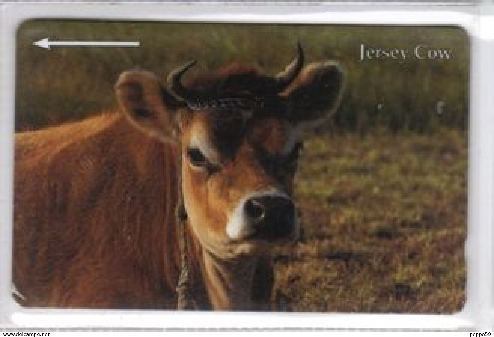 Carta Telefonica - Isola Di Jersey - Carte Telefoniche@Scheda@Schede@Phonecards@Telecarte@Telefonkarte - [ 7] Jersey Und Guernsey