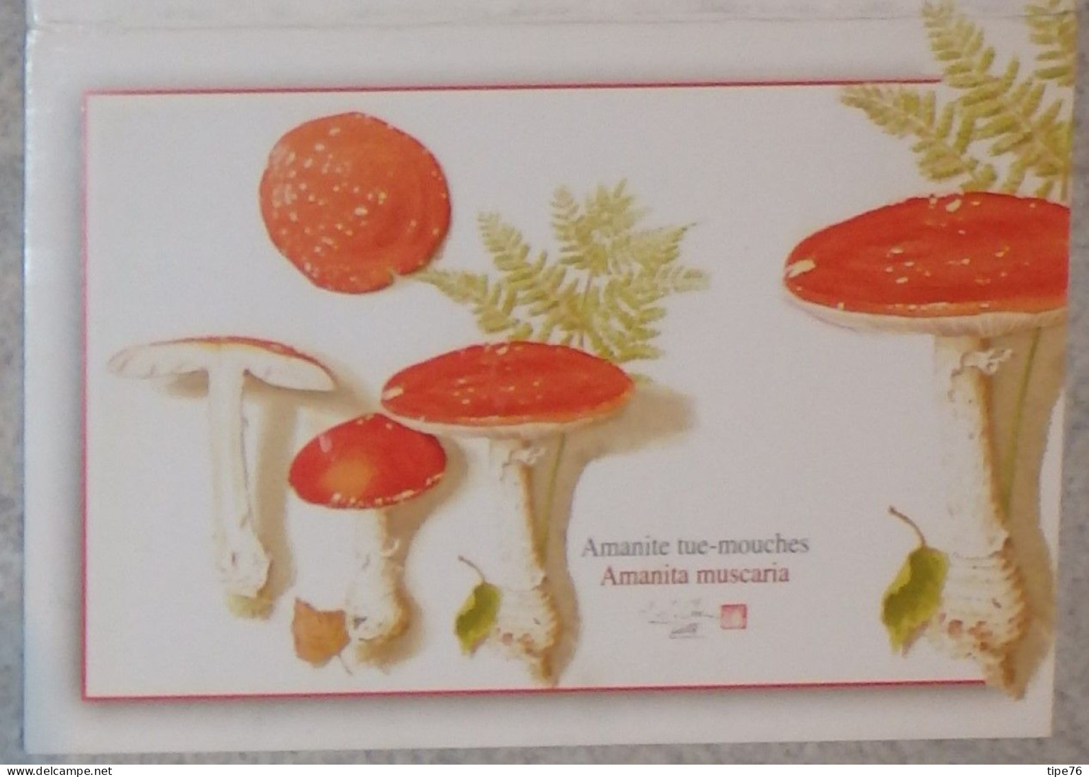 Petit Calendrier De Poche 2008 Champignon Amanite Tue Mouches Pharmacie  Rochefort Charente Maritime - Formato Piccolo : 2001-...