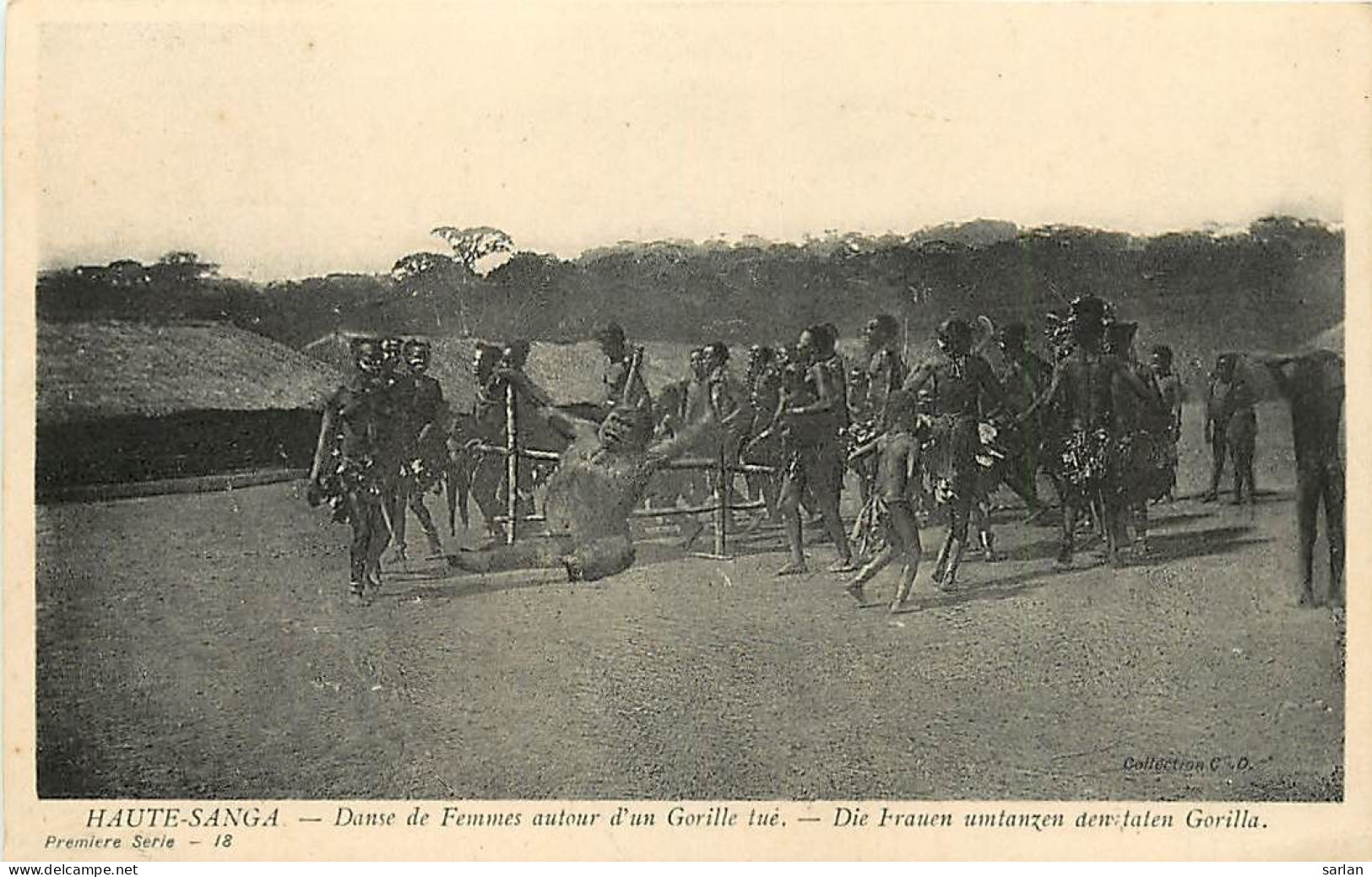 République Centrafricaine / Haute-Sanga / Danse De Femmes Autour Un Gorille Tué / * 507 96 - Centraal-Afrikaanse Republiek