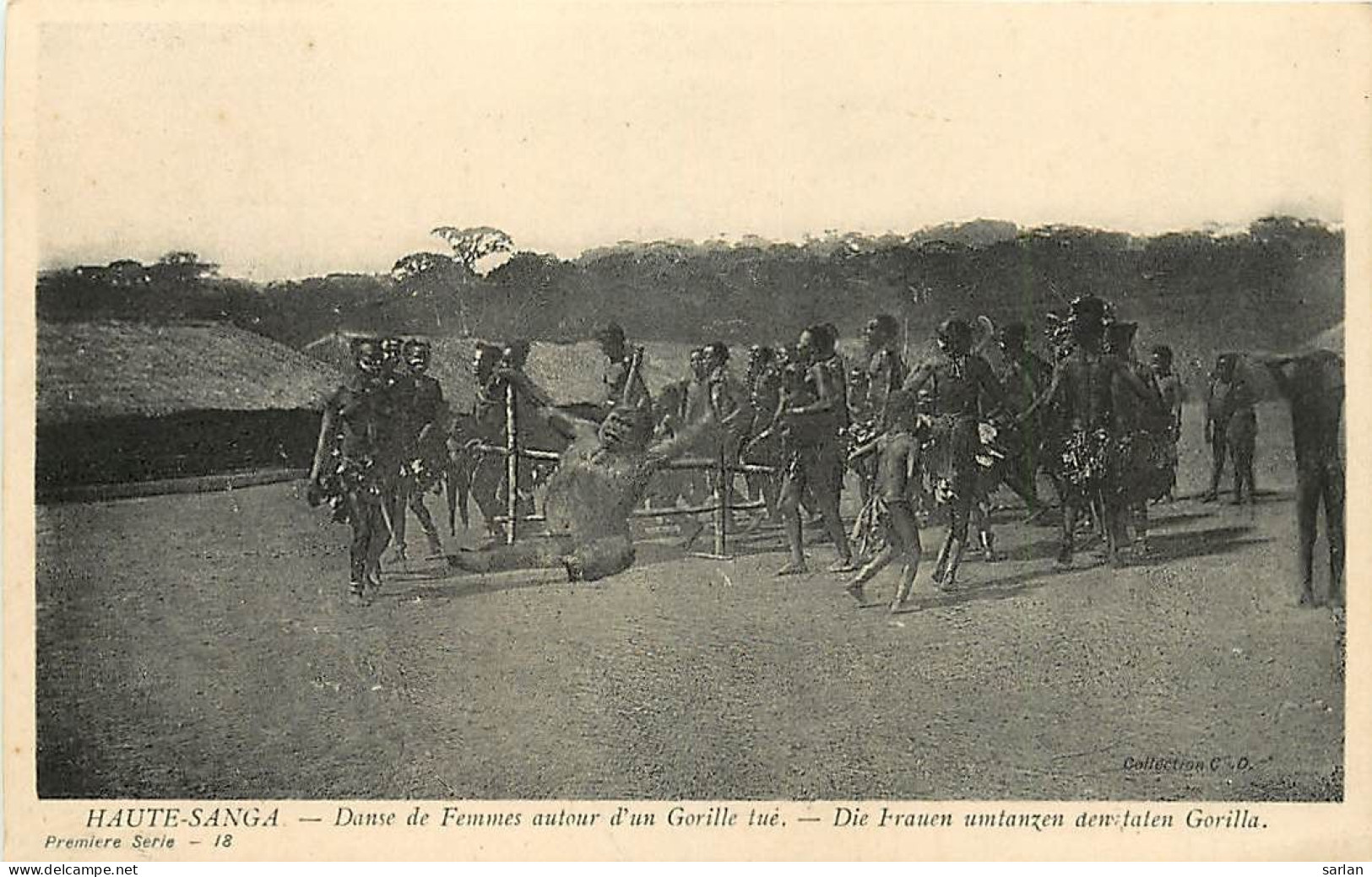 République Centrafricaine / Haute-Sanga / Danse De Femmes Autour Un Gorille Tué / * 507 96 - Centrafricaine (République)