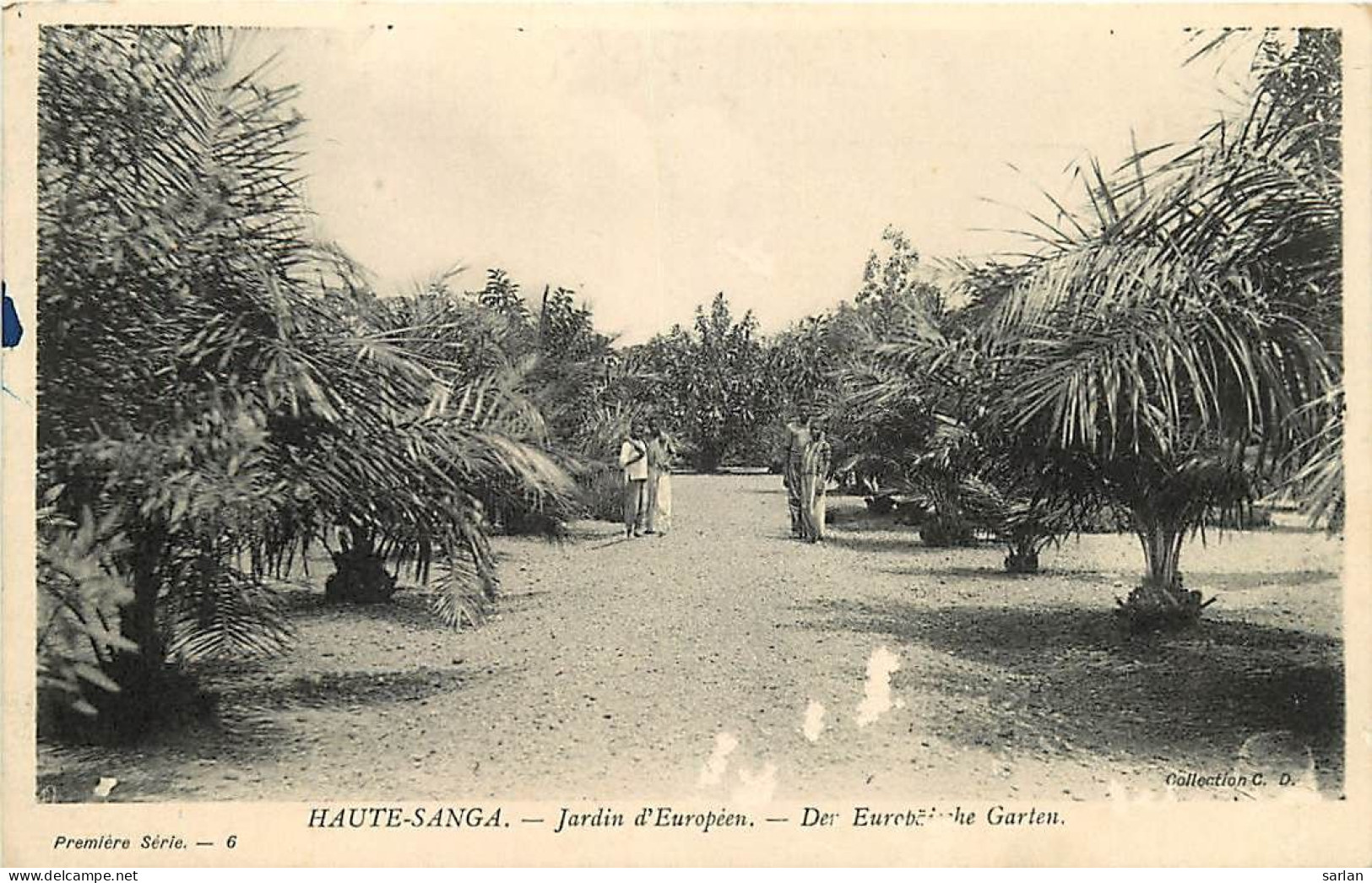 République Centrafricaine / Haute-Sanga / Jardin D'Européen / * 507 71 - Centrafricaine (République)
