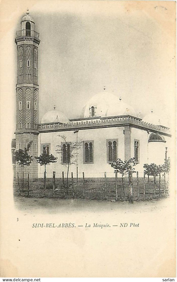 ALGERIE / SIDI-BEL-ABBES / La Mosquée / * 507 60 - Sidi-bel-Abbes