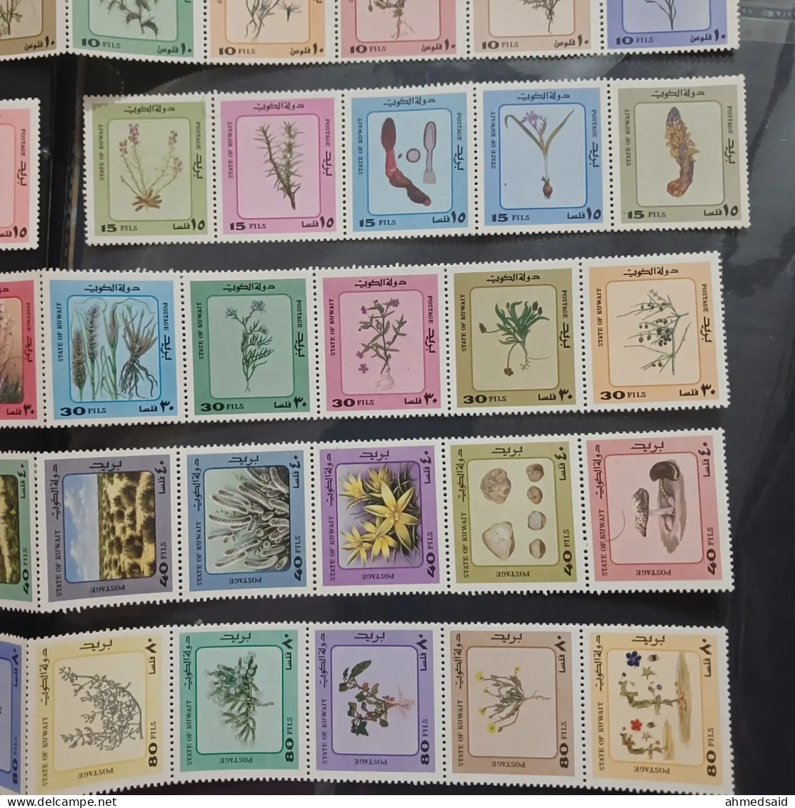 Kuwait  Rare  Complete Set  MNH.  The Plant    Stribs  50 Stamps - Kuwait