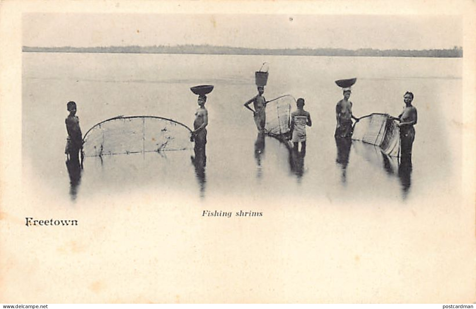 Sierra Leone - FREETOWN - Fishing Shrimps (spelled Shrims) - Publ. Unknown  - Sierra Leone