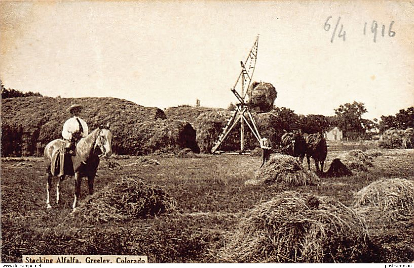 GREELEY (CO) Stacking Alfalfa - Autres & Non Classés