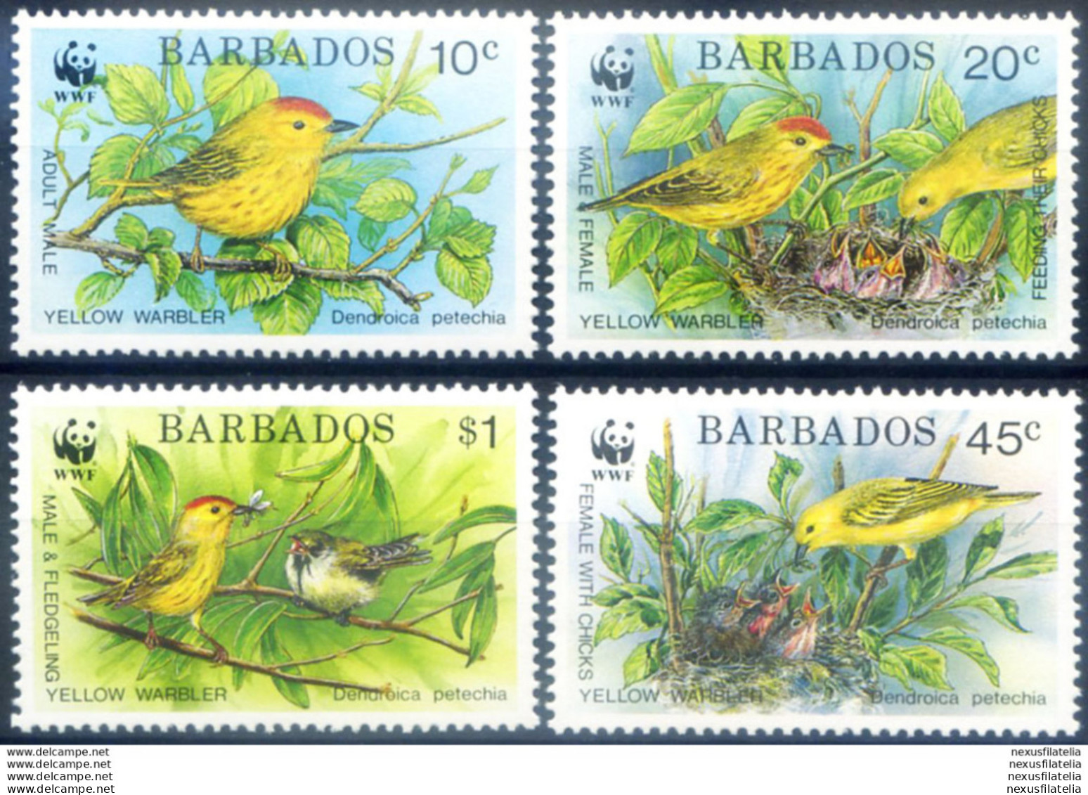 Fauna. Uccelli. WWF 1991. - Barbados (1966-...)