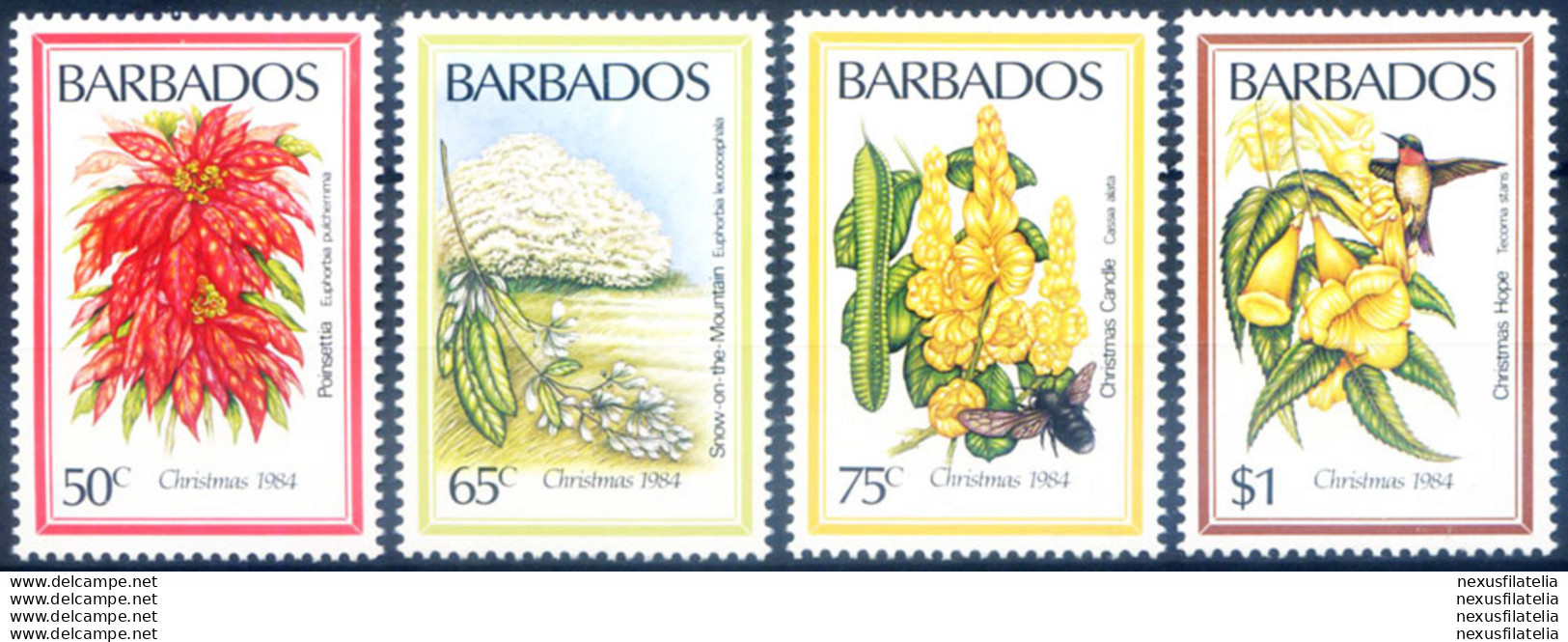 Natale. Fiori 1984. - Barbados (1966-...)