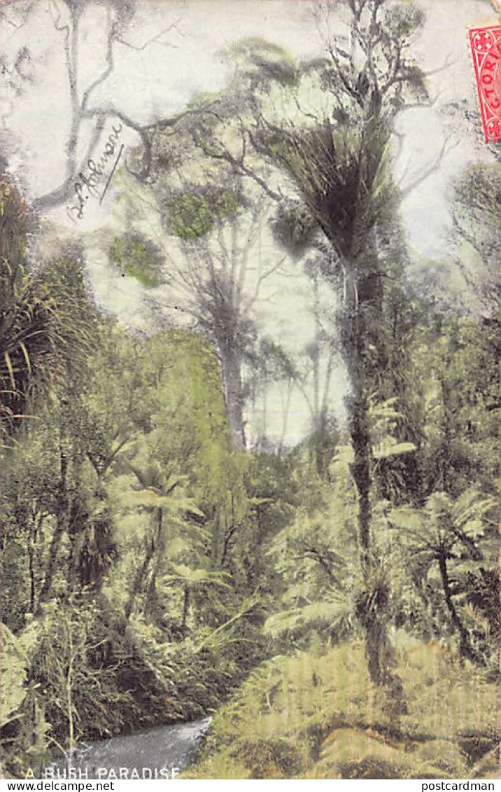 Our Beautiful Bush - A Bush Paradise - Publ. Harding & Billing's Post Card Series 60 - N. 5 - Aborigènes
