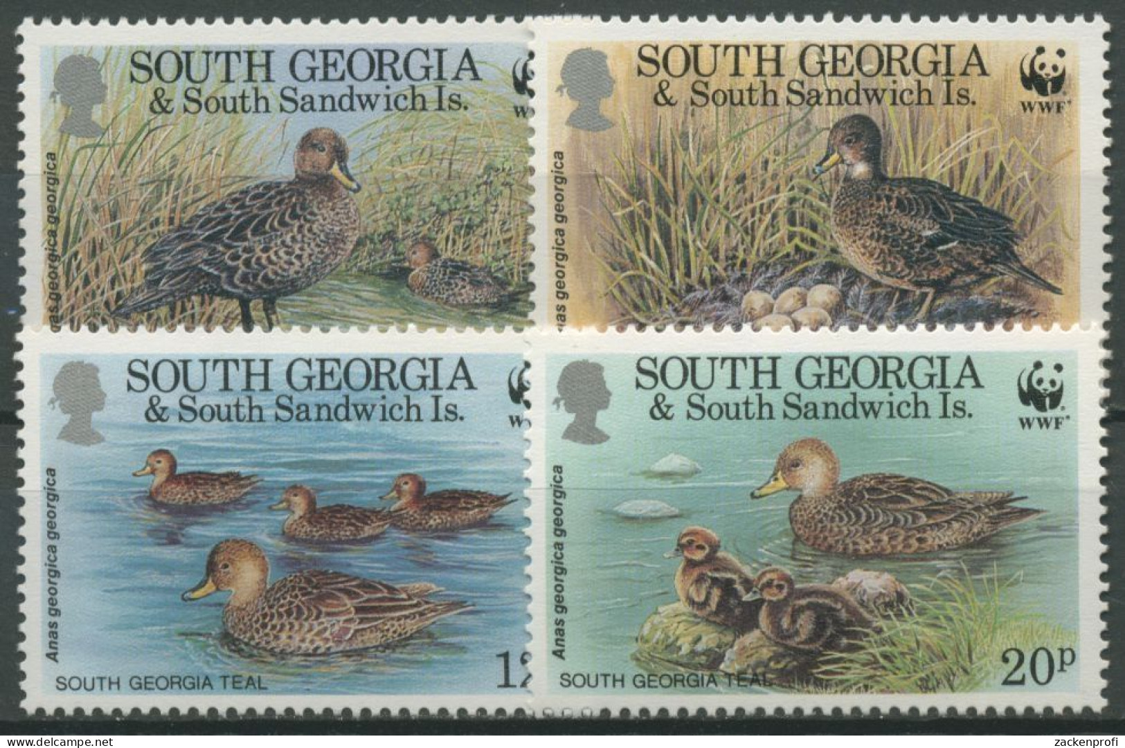 Südgeorgien 1992 WWF Naturschutz Südgeorgische Spießente 203/06 Postfrisch - Géorgie Du Sud