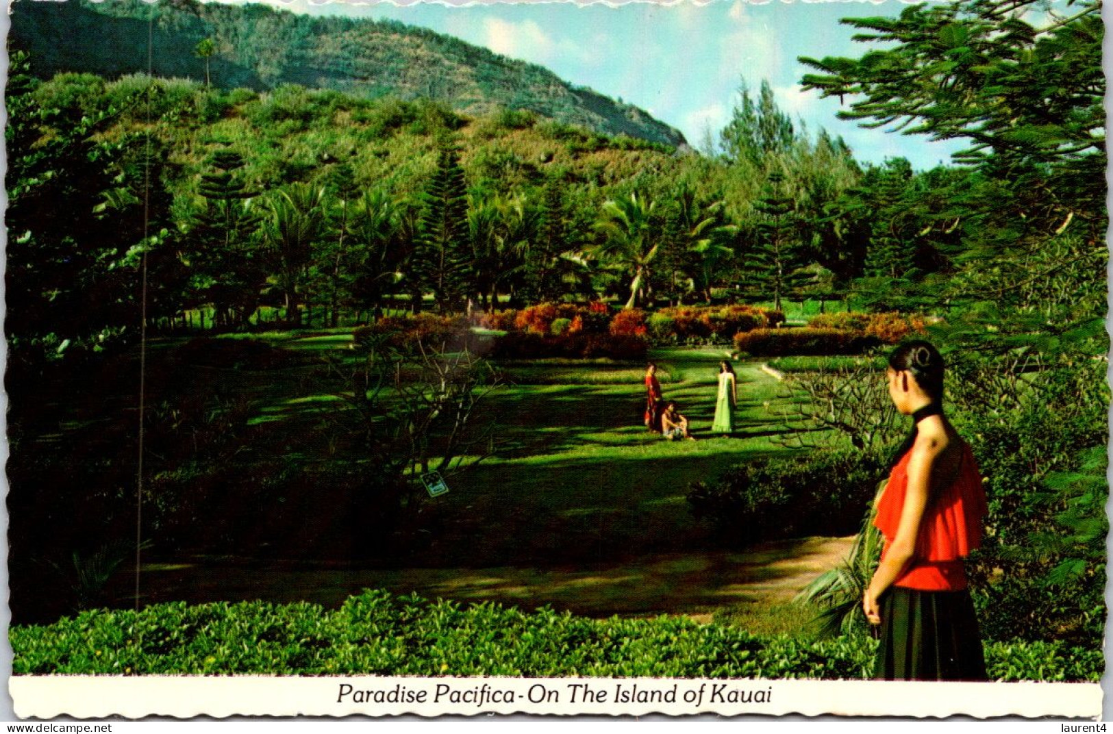 6-4-2024 (1 Z 14) USA - Hawaii  Paradise Pacifica (gardens) - Bäume