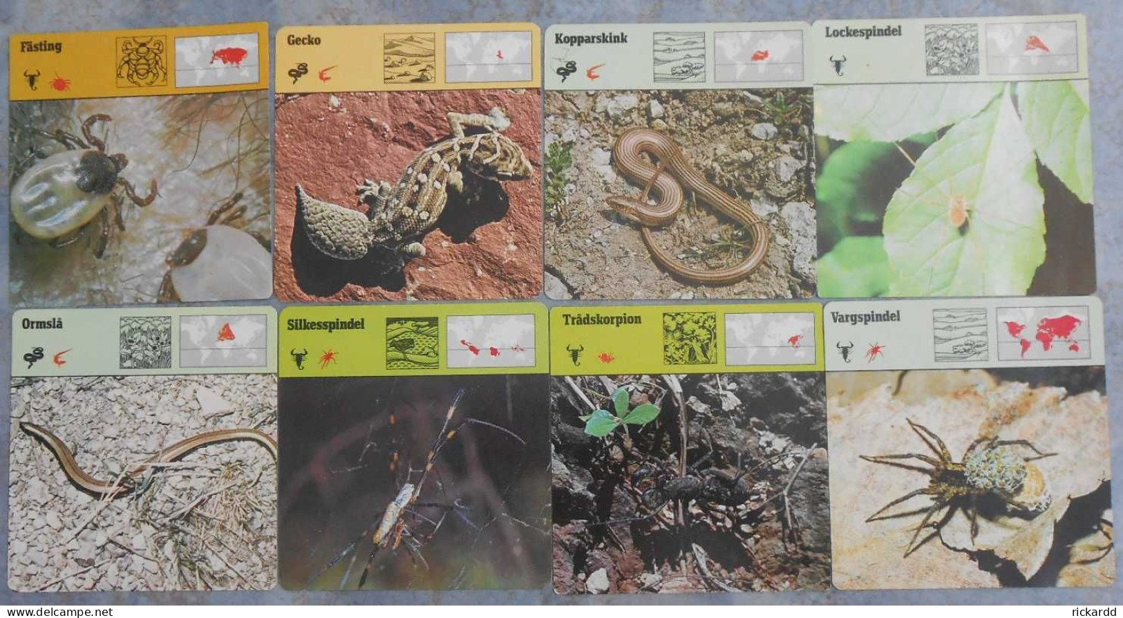 Editions Rencontre; 8 Cards With Arachnids, Lizards And Scorpions (in Swedish) - Dieren