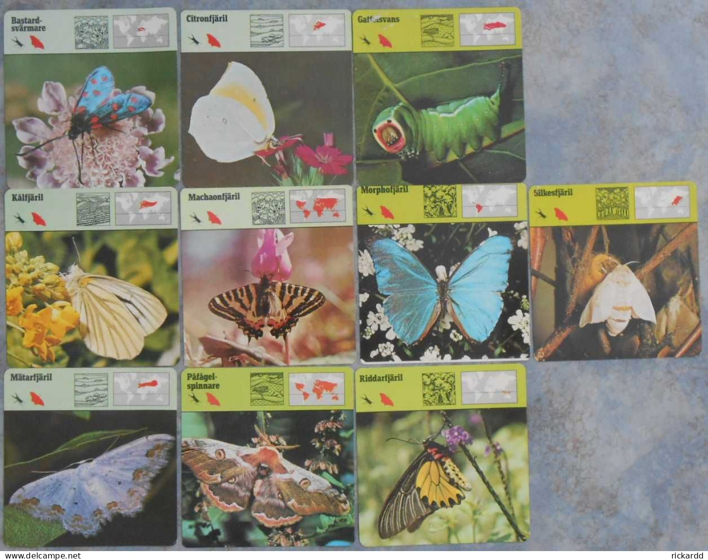 Editions Rencontre; 10 Cards With Butterflies (in Swedish) - Dieren