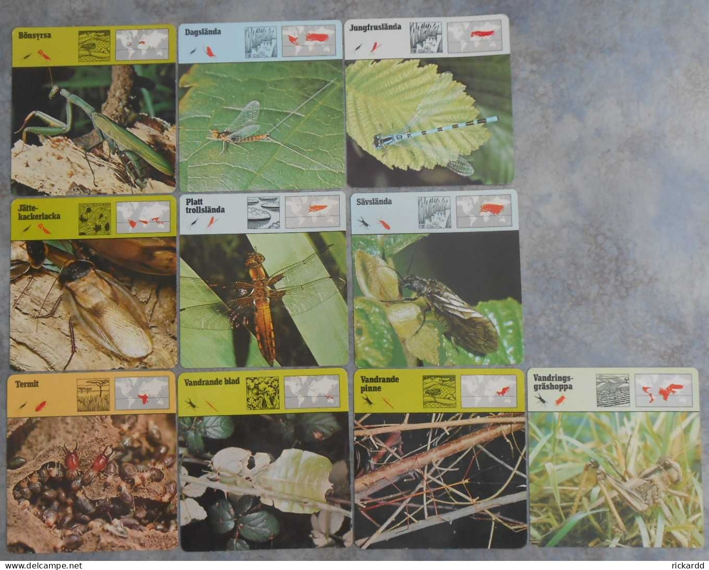 Editions Rencontre; 10 Cards With Various Insects (in Swedish) - Dieren