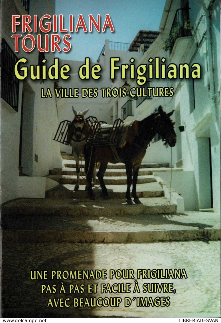 Guide De Frigiliana. La Ville Des Trois Cultures - Practical