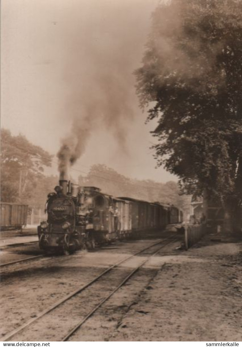 80186 - Göhren - Schmalspurbahn, Abfahrbereiter Personenzug - 1977 - Goehren